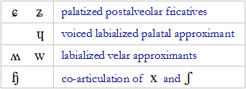 IPA co-articulations