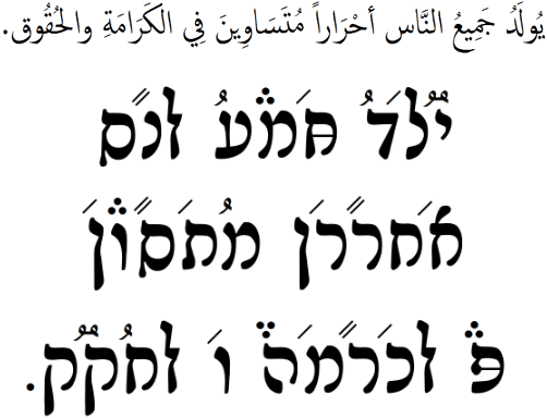 middle east hybrid script example - UDHR