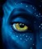 eye of a Na'vi